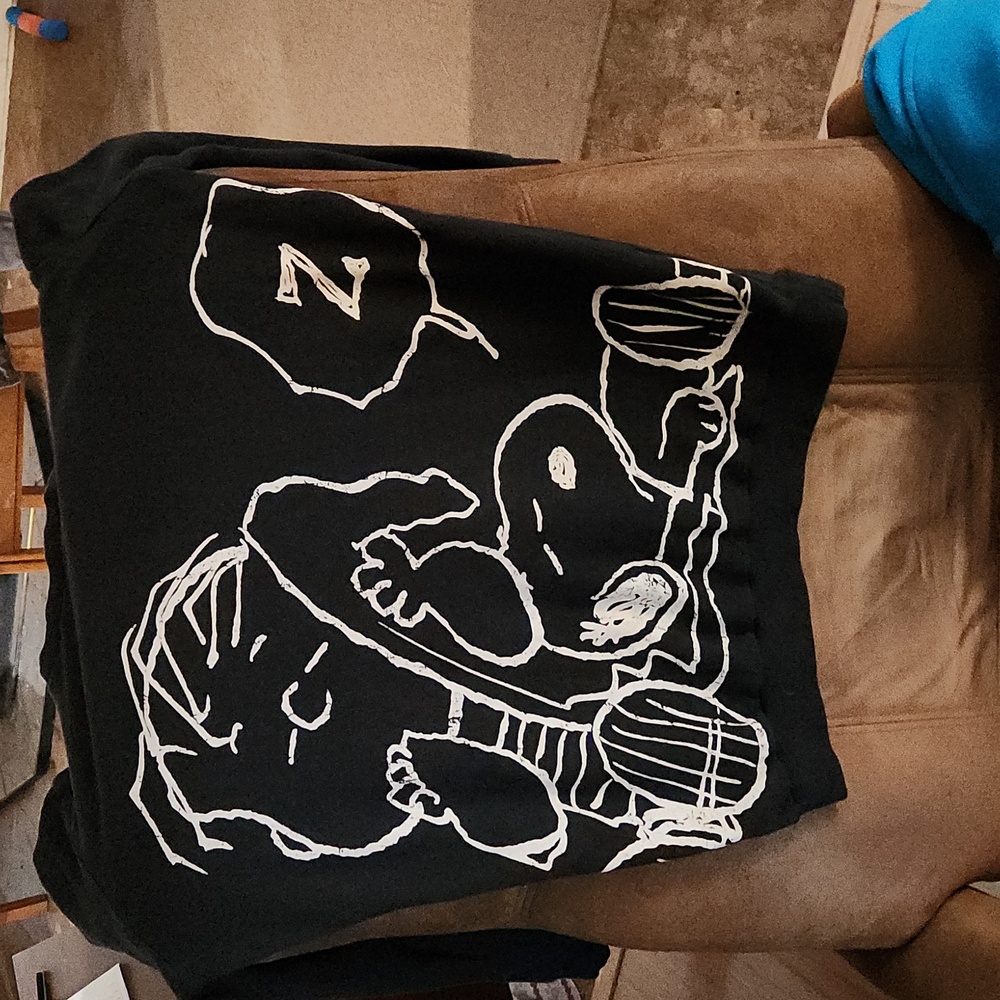 Collectable  Linus,Snoopy and Woodstock Peanuts sweatshirt